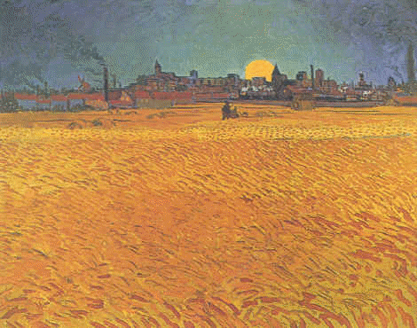 Sunset : Wheat fields Near Arles